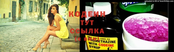 гидра Пенза