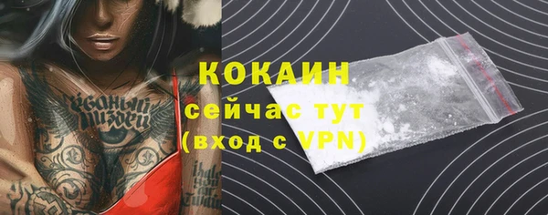 гидра Пенза
