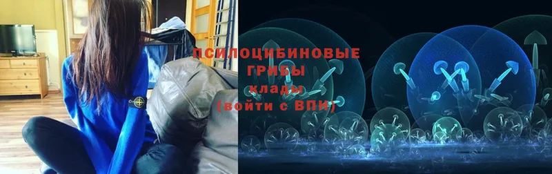 магазин    Великие Луки  Галлюциногенные грибы мухоморы 