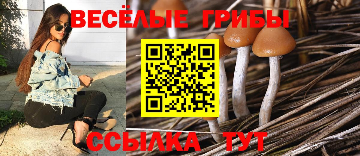 Псилоцибиновые грибы Cubensis  Вход с VPN  Галлюциногенные грибы Cubensis  Великие Луки 