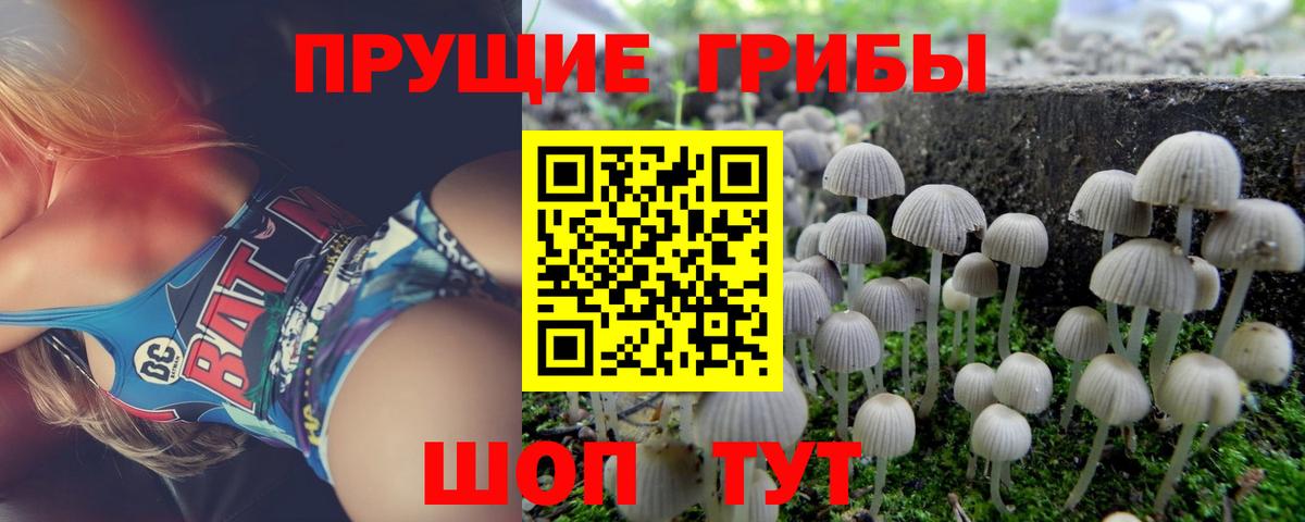 Псилоцибиновые грибы прущие грибы Великие Луки